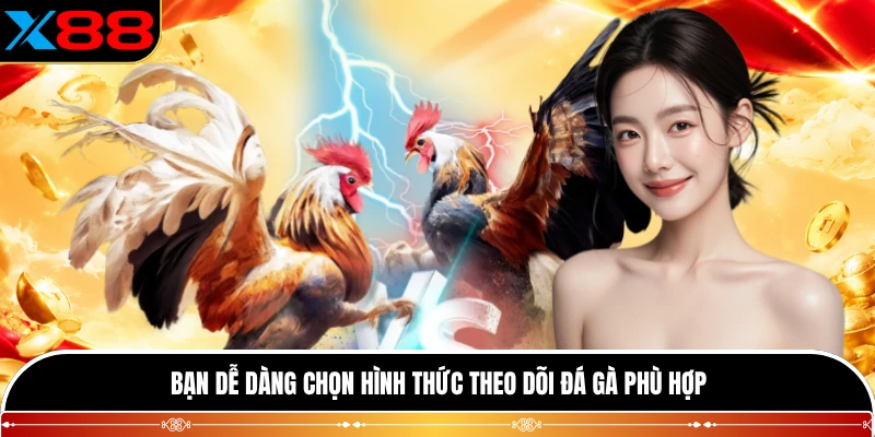 Bạn dễ dàng chọn hình thức theo dõi đá gà phù hợp