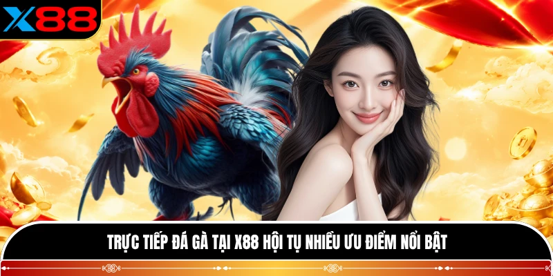 Trực tiếp đá gà tại X88 hội tụ nhiều ưu điểm nổi bật